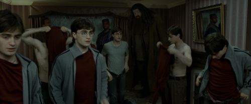 RdM1-Potterish1474.jpg