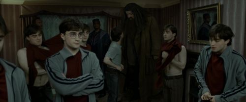 RdM1-Potterish1478.jpg