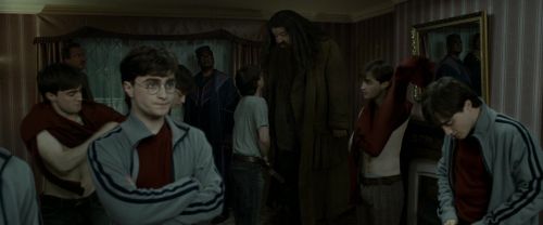 RdM1-Potterish1480.jpg