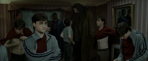 Click to view full size image
==============
RdM1-Potterish1481.jpg RdM1-Potterish1481.jpg