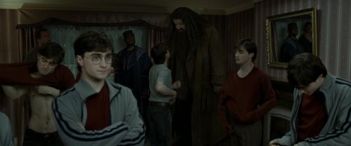 Click to view full size image
==============
RdM1-Potterish1482.jpg RdM1-Potterish1482.jpg