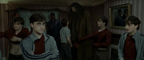 Click to view full size image
==============
RdM1-Potterish1483.jpg RdM1-Potterish1483.jpg