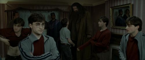 Click to view full size image
==============
RdM1-Potterish1484.jpg RdM1-Potterish1484.jpg