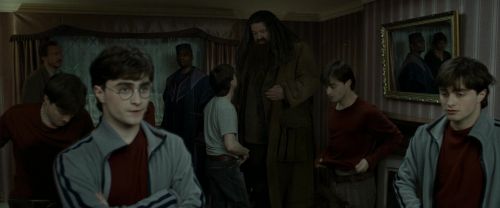 RdM1-Potterish1486.jpg