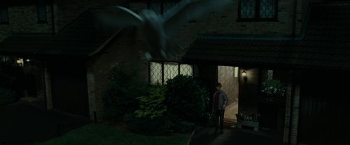 RdM1-Potterish1505.jpg