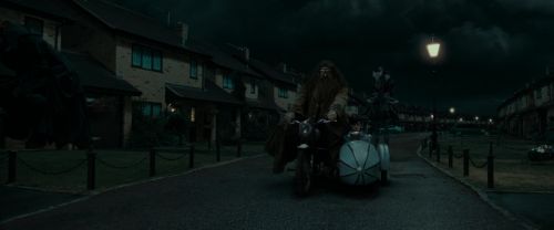 RdM1-Potterish1529.jpg