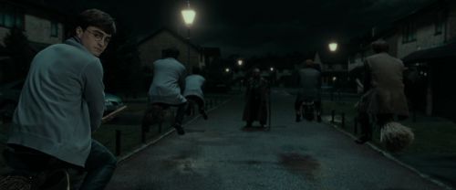 RdM1-Potterish1539.jpg