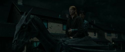 Click to view full size image
==============
RdM1-Potterish1545.jpg RdM1-Potterish1545.jpg