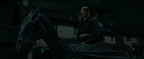 RdM1-Potterish1546.jpg