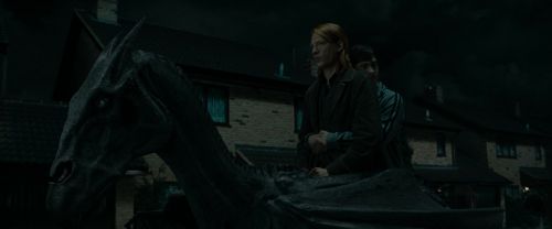 Click to view full size image
==============
RdM1-Potterish1547.jpg RdM1-Potterish1547.jpg