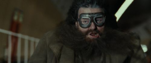 RdM1-Potterish1687.jpg