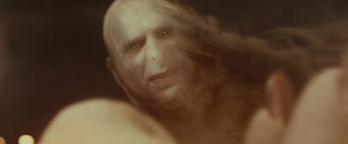 Click to view full size image
==============
RdM1-Potterish1817.jpg RdM1-Potterish1817.jpg