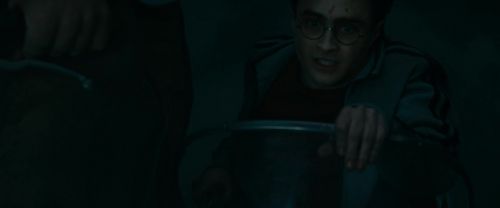 RdM1-Potterish1861.jpg