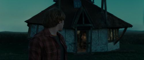 RdM1-Potterish197.jpg