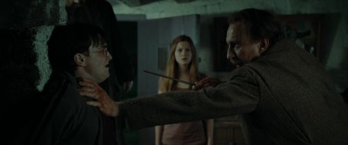 RdM1-Potterish2009.jpg