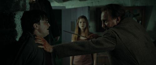 RdM1-Potterish2010.jpg