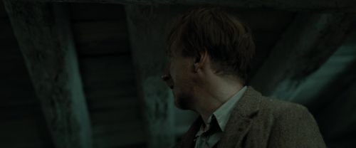RdM1-Potterish2049.jpg