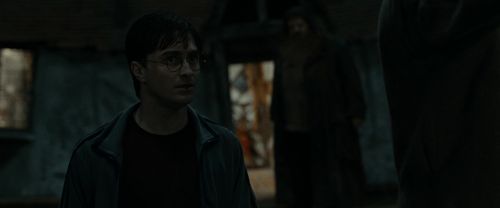 RdM1-Potterish2080.jpg