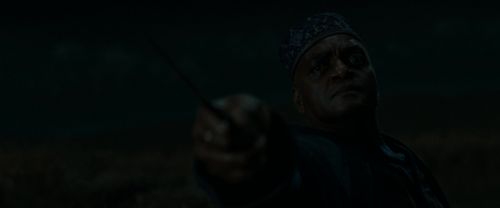 RdM1-Potterish2081.jpg