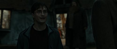 RdM1-Potterish2091.jpg