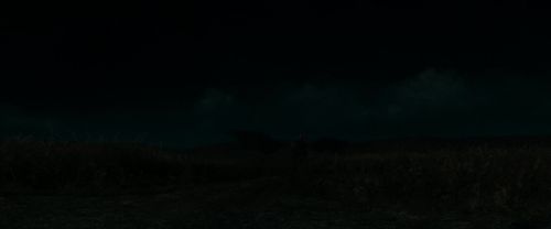 RdM1-Potterish2099.jpg