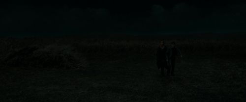 RdM1-Potterish2109.jpg