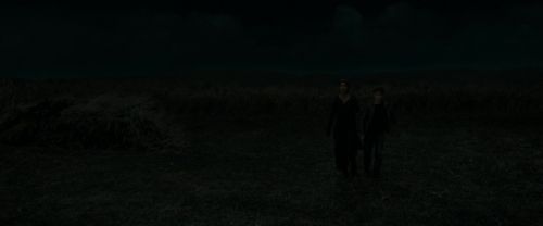 RdM1-Potterish2110.jpg