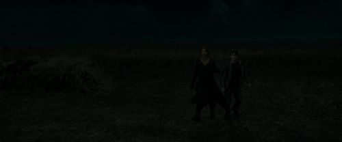 RdM1-Potterish2111.jpg