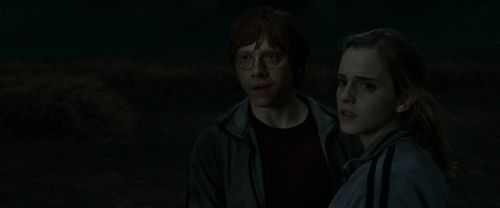 RdM1-Potterish2130.jpg