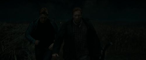 RdM1-Potterish2151.jpg