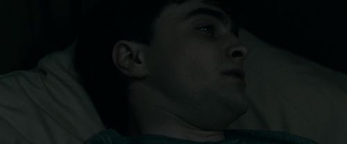 RdM1-Potterish2362.jpg