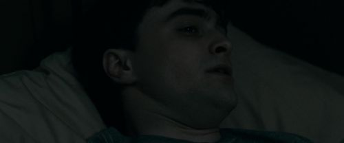 RdM1-Potterish2363.jpg