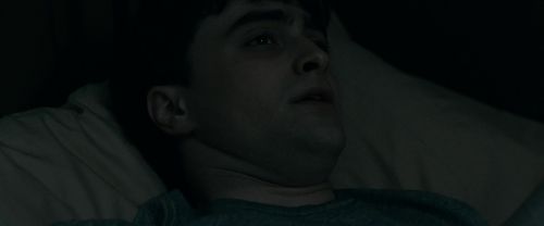 RdM1-Potterish2366.jpg