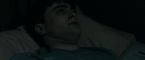 RdM1-Potterish2372.jpg