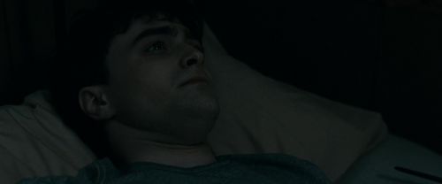 RdM1-Potterish2378.jpg