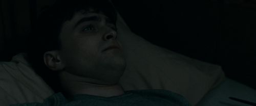 RdM1-Potterish2379.jpg