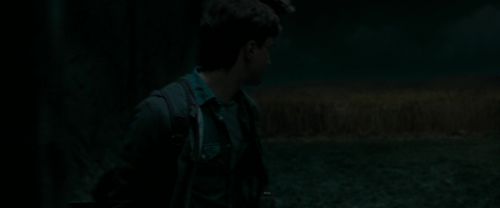 RdM1-Potterish2392.jpg