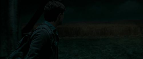 RdM1-Potterish2393.jpg