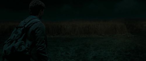 Click to view full size image
==============
RdM1-Potterish2397.jpg RdM1-Potterish2397.jpg