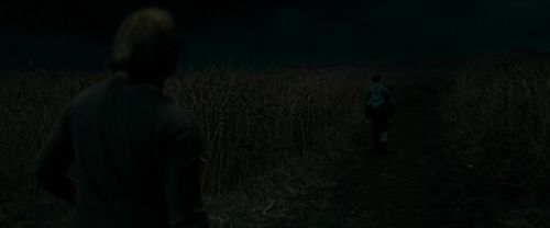 RdM1-Potterish2410.jpg
