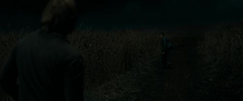 Click to view full size image
==============
RdM1-Potterish2412.jpg RdM1-Potterish2412.jpg