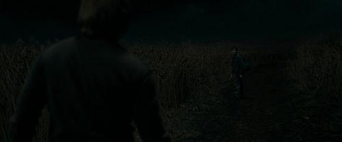 RdM1-Potterish2413.jpg
