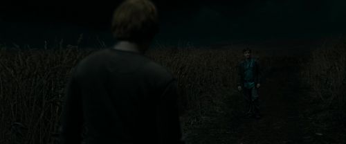 RdM1-Potterish2419.jpg
