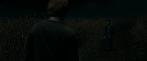 RdM1-Potterish2423.jpg