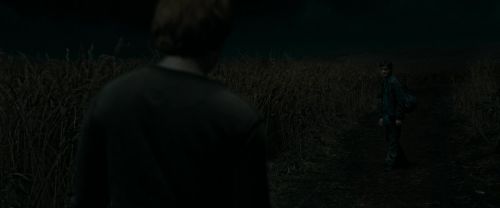 Click to view full size image
==============
RdM1-Potterish2426.jpg RdM1-Potterish2426.jpg