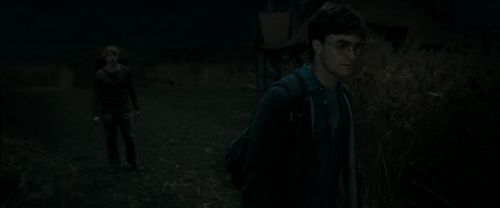 RdM1-Potterish2428.jpg