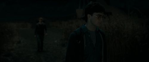 RdM1-Potterish2439.jpg