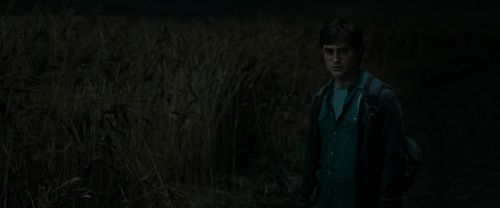 RdM1-Potterish2445.jpg