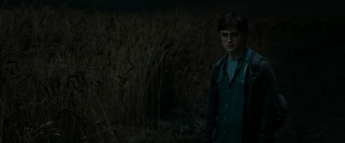 Click to view full size image
==============
RdM1-Potterish2446.jpg RdM1-Potterish2446.jpg