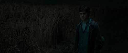 Click to view full size image
==============
RdM1-Potterish2448.jpg RdM1-Potterish2448.jpg